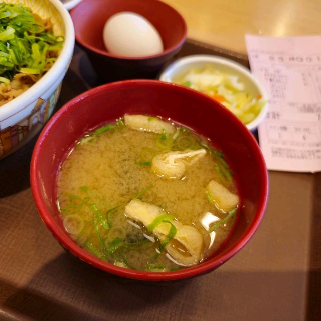 일본의 인기 현지음식 규동 맛집 스기야