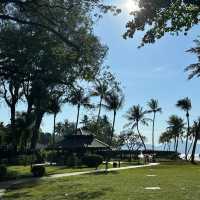 布吉酒店：海景美如畫，舒適住宿享受