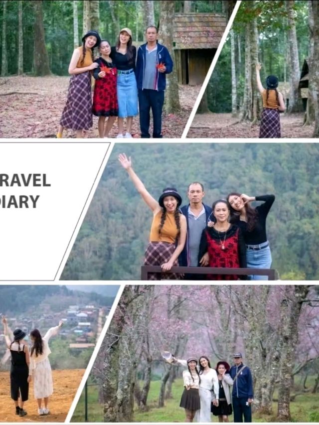 One Day Trip : บ้านร่องกล้า-ภูหินร่องกล้า