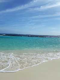 Get lost in the Indian Ocean Sea 🐬