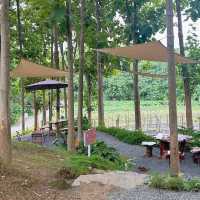  RAYY CAFE (เรย์ คาเฟ่)