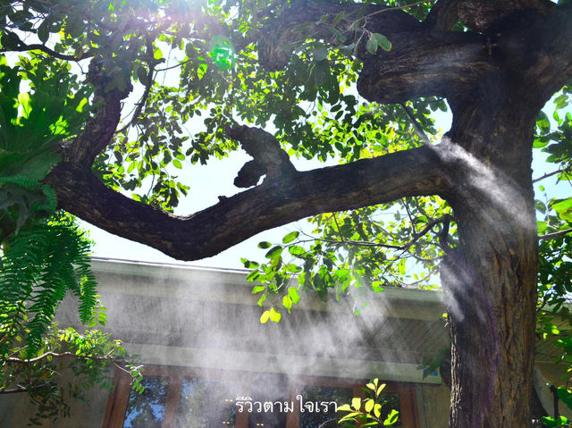คาเฟ่ในป่าหิมพานต์เชียงใหม่เขียวชะอุ่มสดชื่นมาก
