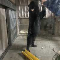 夜遊東山動物園，專屬夜晚的野性與浪漫