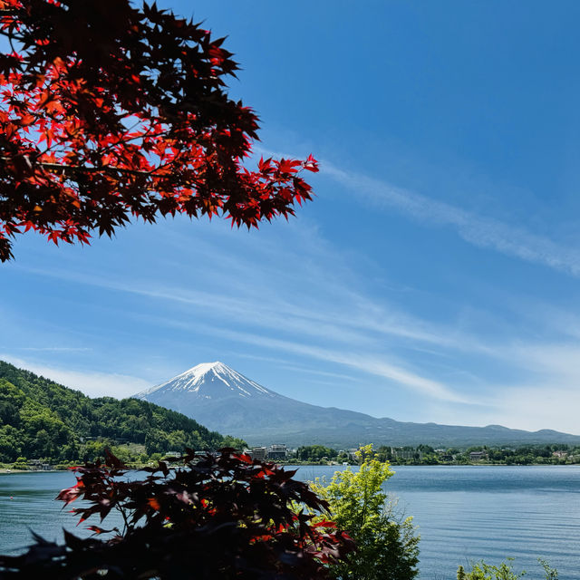 Fuji on May 