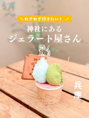 【효고·가사이】 신사 속에 있는 젤라토야씨 🍨💕