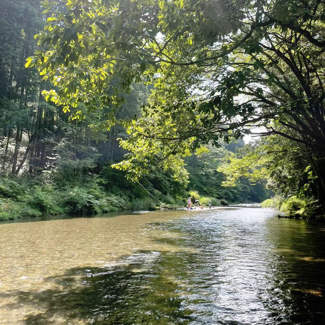 「等等力溪谷公園～感受大自然的壯闊」