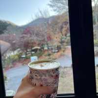 Theme Visit to the Garden of Morning Calm 🇰🇷