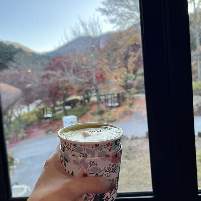 Theme Visit to the Garden of Morning Calm 🇰🇷