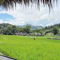 SAM NA CAFE 🍵 LUANG Prabang 