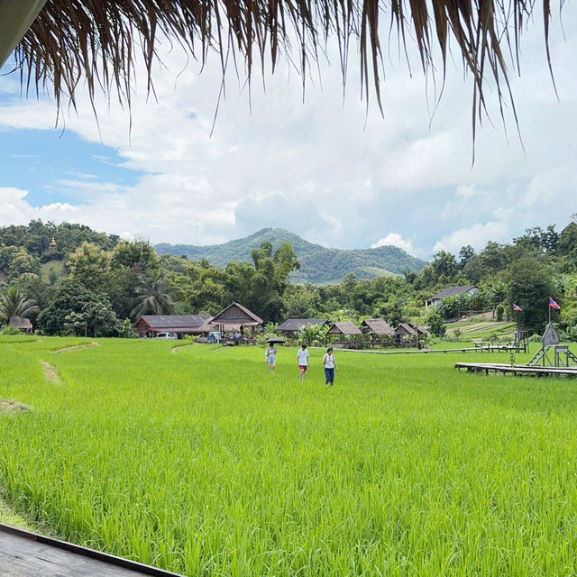 SAM NA CAFE 🍵 LUANG Prabang 