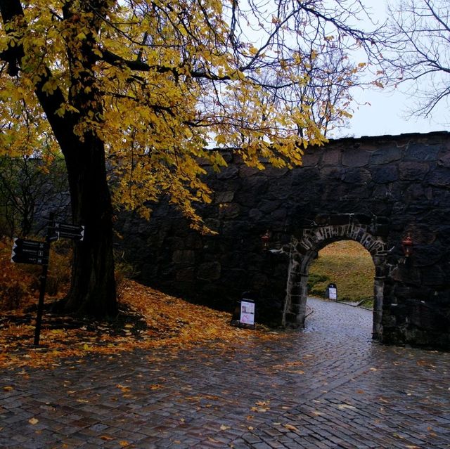 文藝與現代建築的結合挪威Oslo