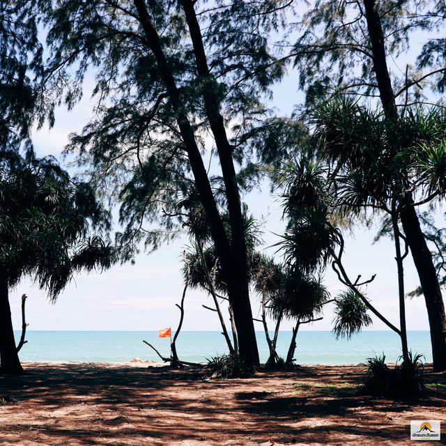 หาดบางเทา