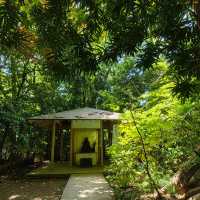 Akamine Camping Ground：綠意滿溢，親近自然的露營樂趣