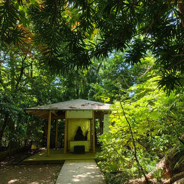Akamine Camping Ground：綠意滿溢，親近自然的露營樂趣