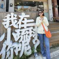 屏東琉球 海島特產海龜燒 861dayday