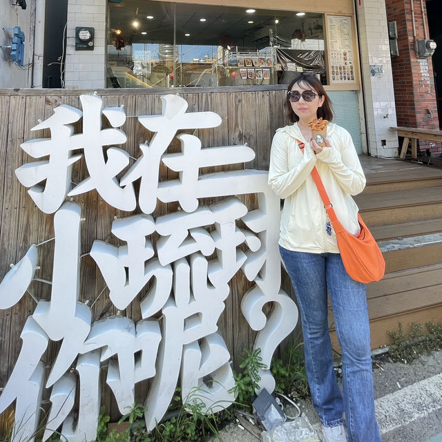 屏東琉球 海島特產海龜燒 861dayday