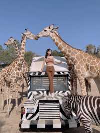 🦒🦓🐫🐆🐅 Safari Park ·北碧府野生動物園