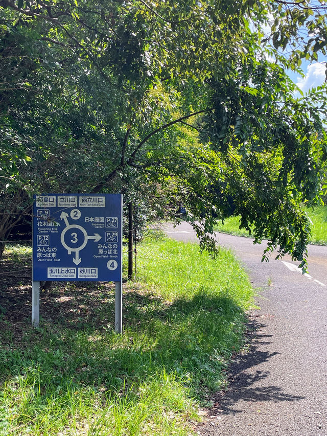 【東京都】昭和記念公園で気軽にサイクリング