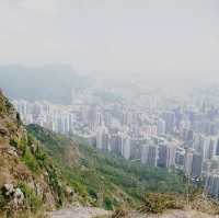 🏞️ 獅子山郊遊體驗★自然與夜景之美