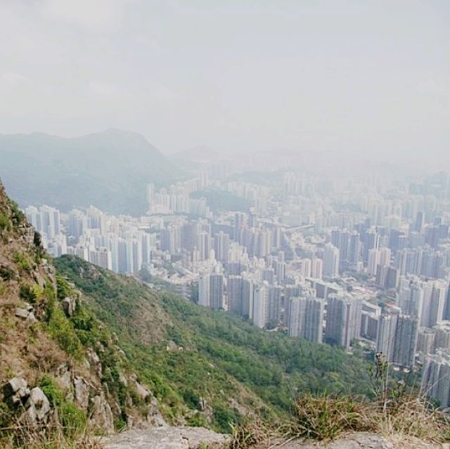 🏞️ 獅子山郊遊體驗★自然與夜景之美