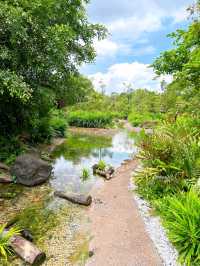 An Exciting Day Out at Bird Paradise 