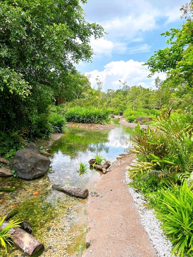 An Exciting Day Out at Bird Paradise 