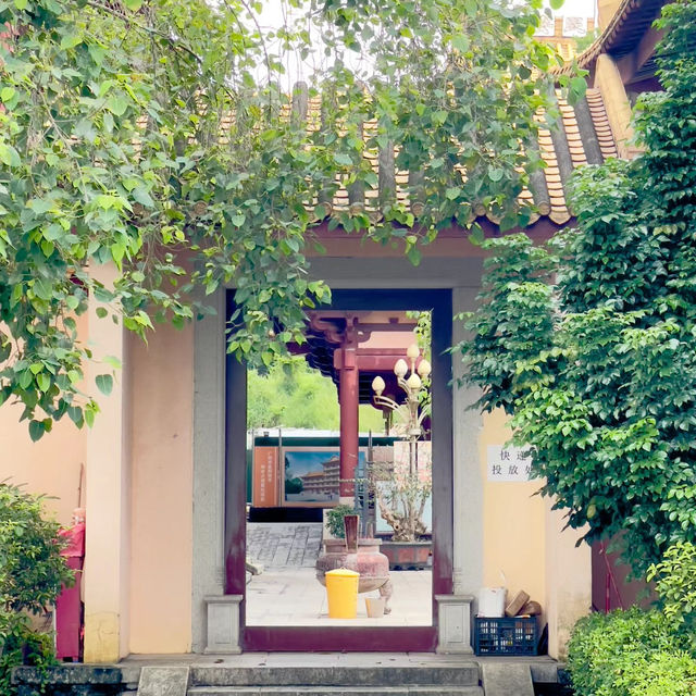 高原寺：穿越時光的文化瑰寶 ⛩️🌟