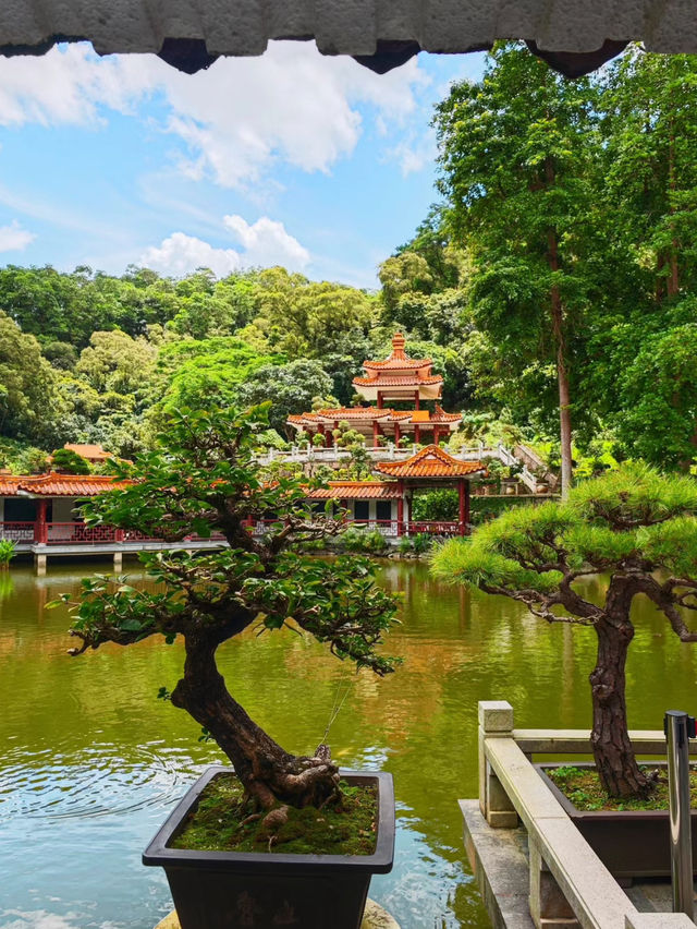 深圳弘法寺——靜謐古剎中的心靈歸所🕊️⛩️