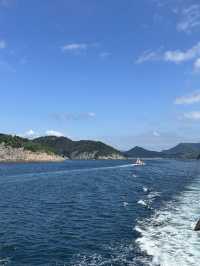 여름, 배타고 청량한 욕지도로 떠나요🚢