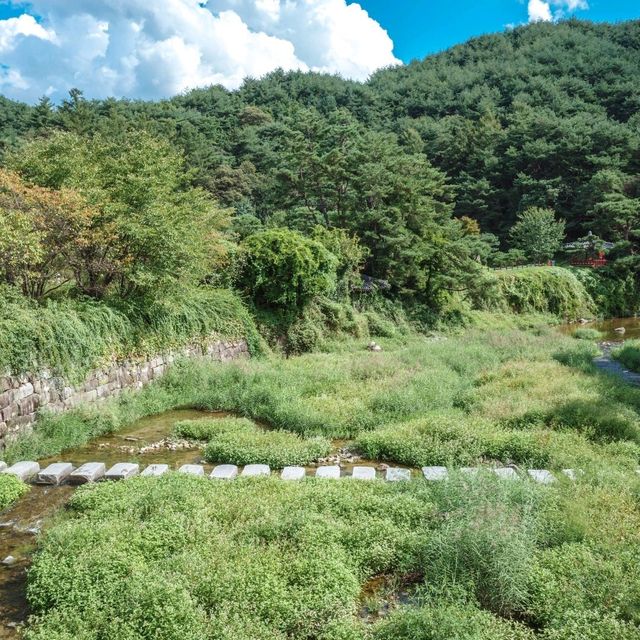 고요하고 편안한 산책