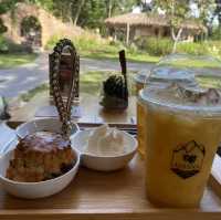 Assana Cafe