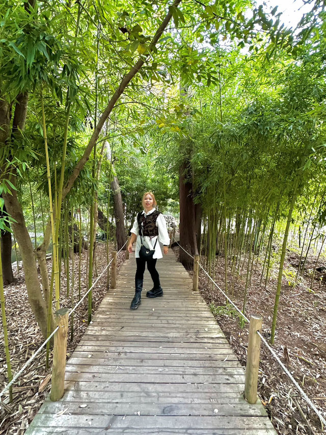 【大宮】最強パワースポットの宝庫📍大宮 氷川神社⛩️縁結びや商売繁盛にもオススメ💓可愛いスポットも🈶