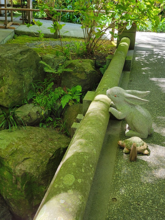 【紫陽花で知られる💐静かなお寺明月院🌕】