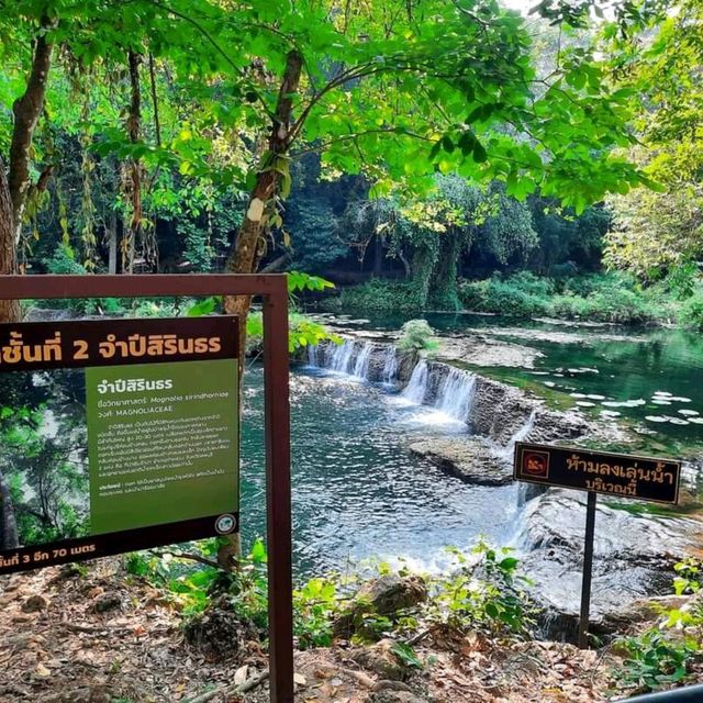 น้ำตก
