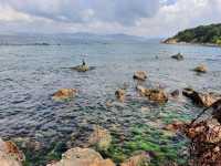 【伊斯坦布爾】Heybeliada Island：度假聖地，45分鐘船程