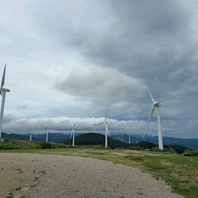 여름여행 태백의 매봉산 바람의 언덕