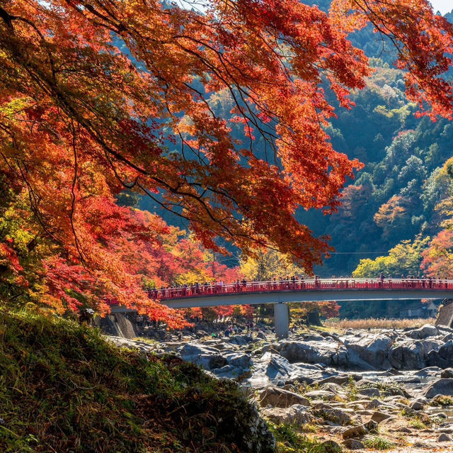 香嵐溪