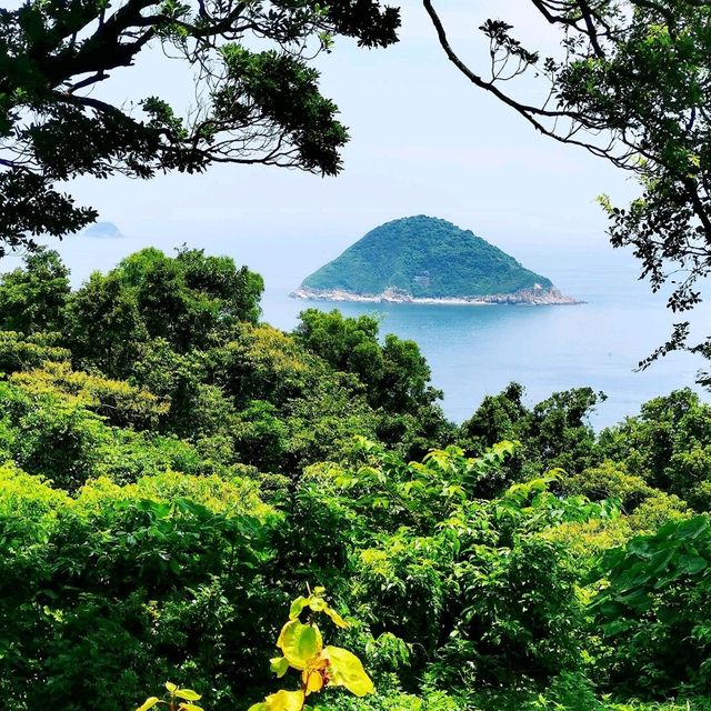 大坑墩清水灣郊野公園