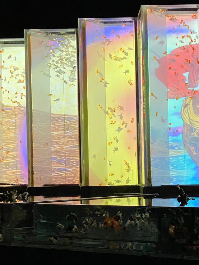 金魚×光・音・香が織りなす芸術