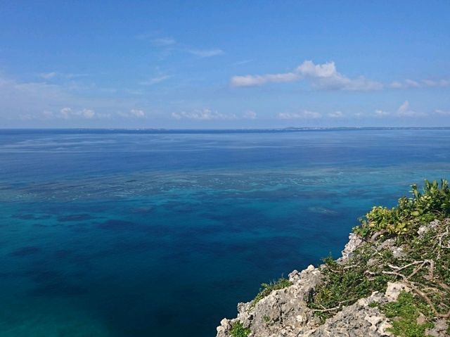 【味のみやこ:宮古島市】薬草が入った沖縄そば♪
