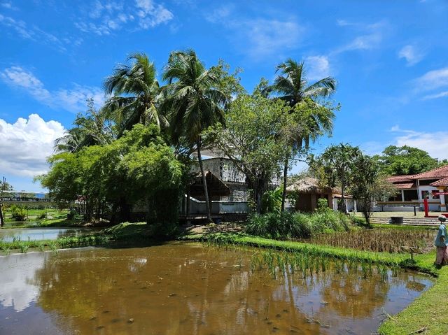 A nice visit to the paddy museum at Langkawi, Laman Padi