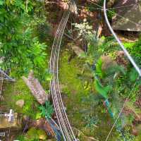 กิจกรรมสุดอลังการ เดอะจังเกิ้ล โป่งแยง (The Jungle