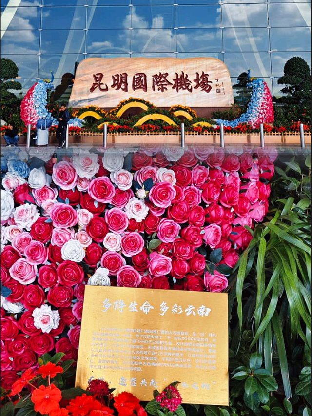 「昆明長水國際機場：花卉展示、恐龍裝置，感受昆明之美」