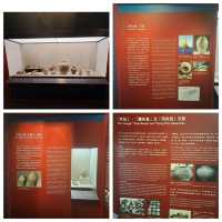 南海1號與海上絲綢之旅展覽參觀的個人感受