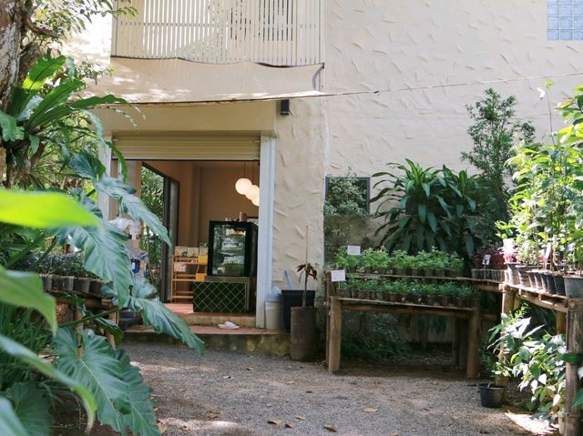 ทานข้าวโพดหวานที่ Cornily Corn farm