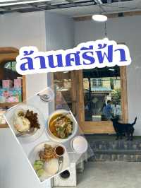 😋 ล้านศรีฟ้า มวกเหล็ก