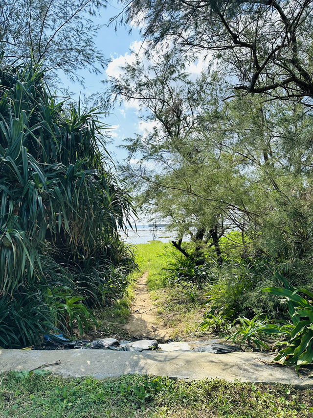 【奄美大島】大瀬海岸