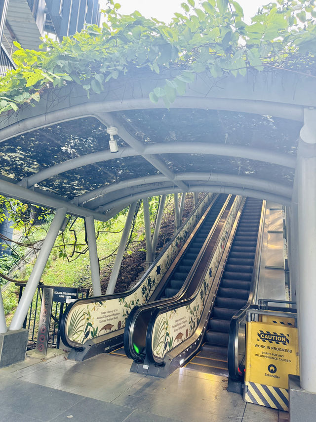 🇸🇬 Exploring Fort Canning Park in Singapore 
