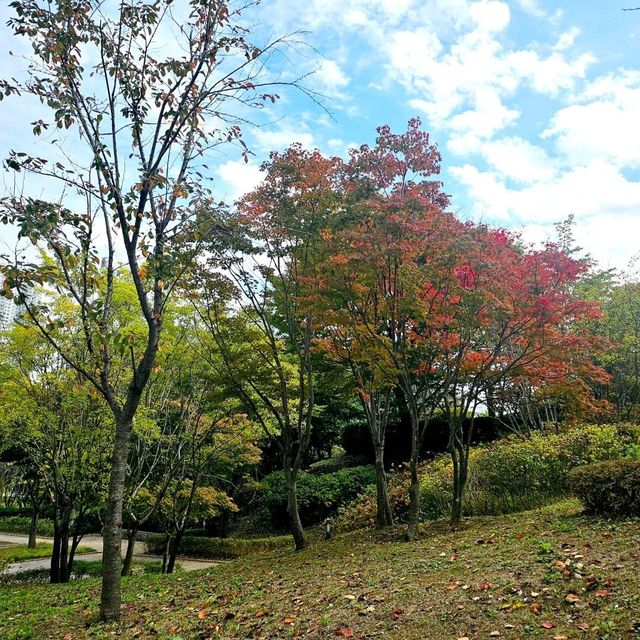 광교호수공원으로의 야외데이트❤️