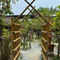 Snap-Worthy Scenery: Exploring the Beauty of Paina Nara!
